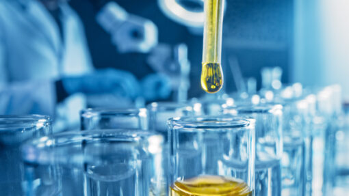 A Criminal Defense Attorney in Dana Point CA Can Help You if You Are Facing Charges of Drug Manufacturing A Criminal Defense Attorney in Dana Point CA Can Help You if You Are Facing Charges of Drug Manufacturing