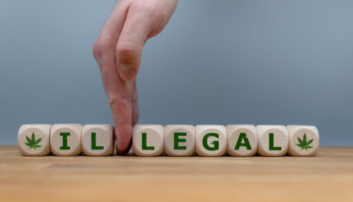 What Our Clients Need to Know About California Marijuana Laws What Our Clients Need to Know About California Marijuana Laws